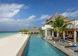 Đến Maldives ngồi tàu ngầm ngắm san hô