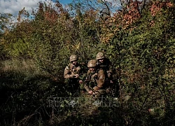 Đơn vị quân đội Ukraine đầu hàng Nga ở tỉnh Kursk