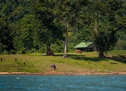 Du thuyền trên lòng hồ thủy điện Sông Hinh (Phú Yên)