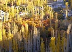 Huyền thoại mùa thu ở Hunza - miền Bắc Pakistan