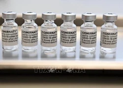 Kết quả thử nghiệm vaccine ngừa cúm và COVID-19 của Pfizer và BioNTech chưa đạt hiệu quả mong muốn