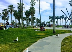 Khám phá kênh đào Venice lãng mạn trong lòng nước Mỹ