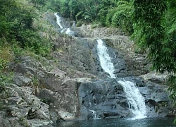 Kỳ thú chân núi Tam Đảo