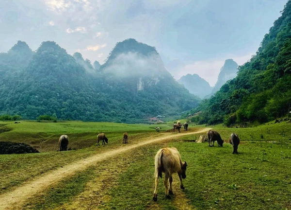 Núi Mắt Thần sừng sững trong công viên địa chất, tha hồ chèo sup, leo núi, check-in