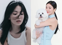 Song Hye Kyo ở tuổi 43: Xinh đẹp, hạnh phúc với cuộc sống độc thân