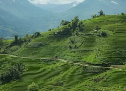 Tham quan trải nghiệm làng du lịch cộng đồng Nậm Cang Sa Pa (Lào Cai)