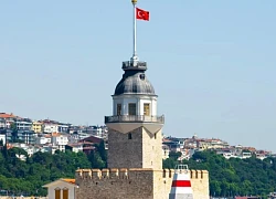 Tôi đến Istanbul, thành phố do loài mèo 'thống trị'