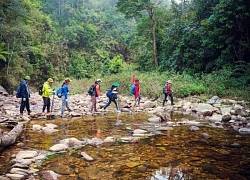 Xuyên qua cánh rừng ma mị, ngắm biển mây hùng vĩ trên đỉnh Sa Mu - U Bò