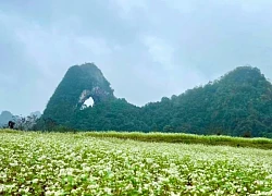 Đến Cao Bằng trải nghiệm thảo nguyên - "Mắt Thần Núi"