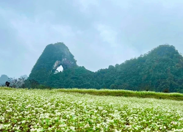 Đến Cao Bằng trải nghiệm thảo nguyên - "Mắt Thần Núi"