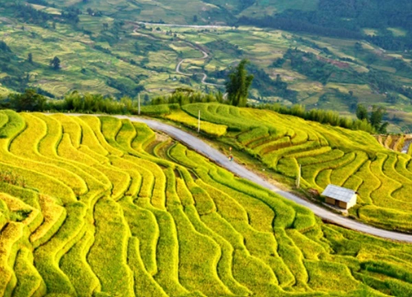 Hành trình khám phá di sản ruộng bậc thang