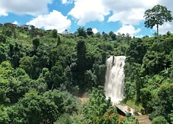 Khám phá thác Bobla hùng vĩ giữa núi rừng cao nguyên Di Linh (Lâm Đồng)