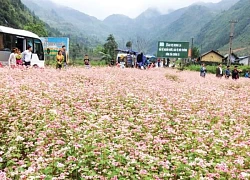 Ngỡ ngàng vùng cao