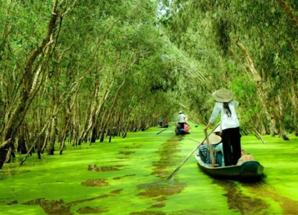 Những điểm đến lý tưởng ngắm miền Tây mùa nước nổi