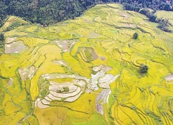 Quyến rũ ruộng bậc thang Sa Pa