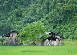 Tìm về Lân Đặt, bản làng người Dao nằm giữa núi rừng Lạng Sơn