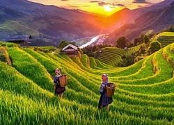 Việt Nam lọt Top 10 quốc gia châu Á an toàn nhất năm 2024