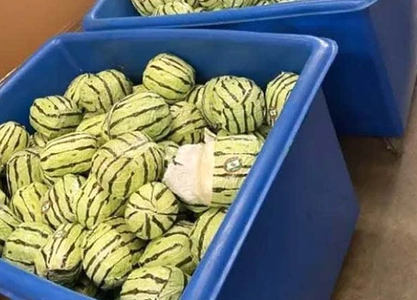 Mỹ thu giữ 2.000 kg ma túy đá ngụy trang thành dưa hấu