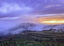 Top 9 địa điểm săn mây đẹp, thơ mộng khi đến Đà Lạt