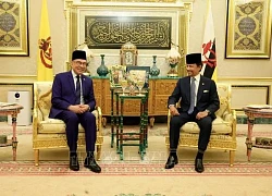 Hội nghị tham vấn thường niên Malaysia - Brunei