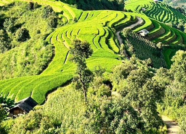 'Thiên đường mây Tà Xùa' những ngày không mây