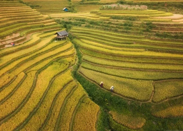 Vẻ đẹp từ trên cao của Việt Nam qua lăng kính nhiếp ảnh gia người Nga