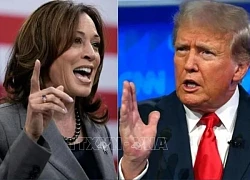 Bà Harris công kích hoạt động của ông Trump ở nghĩa trang quân đội