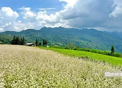 Khám phá 'tiểu Thụy Sĩ' giữa lòng Hà Giang