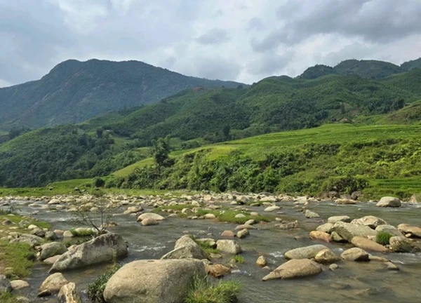 Lên Sa Pa nhâm nhi cà phê view "triệu đô" nhìn ra ruộng lúa bậc thang