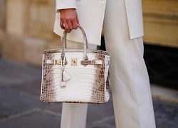 Túi Hermès bạch tạng mà bà Trương Mỹ Lan xin lại đắt đỏ ra sao?