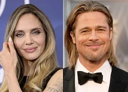 Brad Pitt thua Angelina Jolie, quyết đòi tài sản không để cho Pax Thiên đồng nào