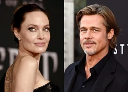 Brad Pitt vẫn tranh chấp tài sản với Angelina Jolie trong vụ ly hôn không hồi kết