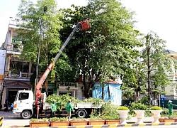 Ngành điện sẵn sàng ứng phó bão số 3