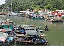 Quảng Ninh cấm biển từ 11h ngày mai để ứng phó bão số 3