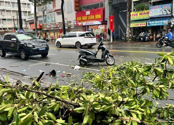 TP Hồ Chí Minh: Một người tử vong do nhánh cây xanh gãy trong mưa lớn