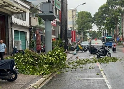 TP.HCM: Một người đi đường bị nhánh cây xanh gãy rơi trúng, tử vong