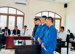 Trả giá cho lòng tham