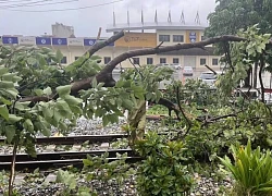 120 chuyến bay bị hủy, nhiều sân bay đổ tường, vỡ kính do bão số 3