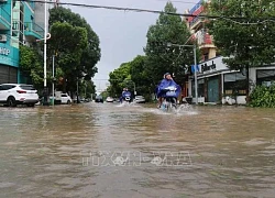 Bắc Ninh: Hàng nghìn cây xanh bị quật đổ, nhiều tuyến đường ngập nặng sau bão