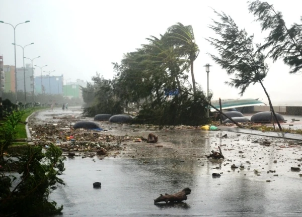 Bão Yagi đang tàn phá Quảng Ninh, người dân khiếp sợ