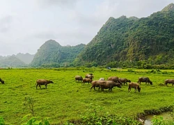 Bình yên làng chài cổ Việt Hải