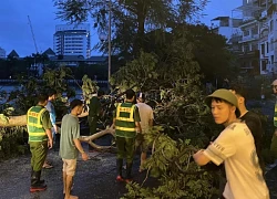 Chuyện chưa kể của các chàng trai Hà Nội xuống đường dọn dẹp sau cơn bão Yagi