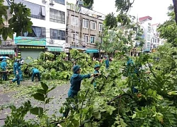 Khẩn trương giúp đỡ người dân ảnh hưởng bão số 3 vượt qua khó khăn, khôi phục sản xuất