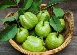 Loại trái cây là 'vua' vitamin C