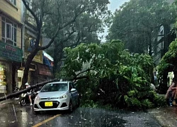 Nghiêm ngặt ở tại nhà, chờ bão số 3 Yagi đi qua