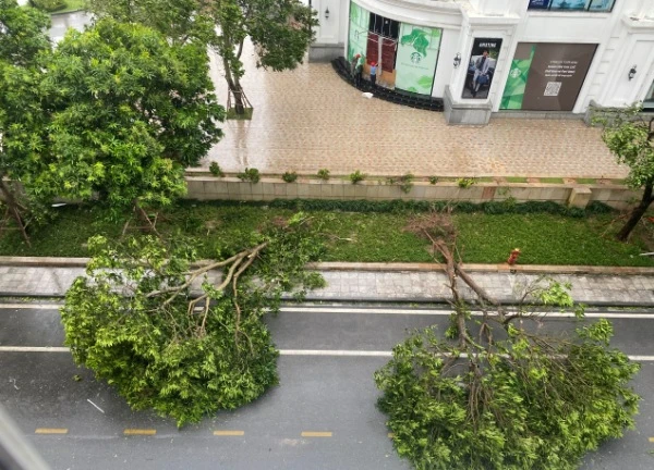 Người dân ở tâm bão Yagi: 'Gió to lắm, mái tôn sập hết rồi'