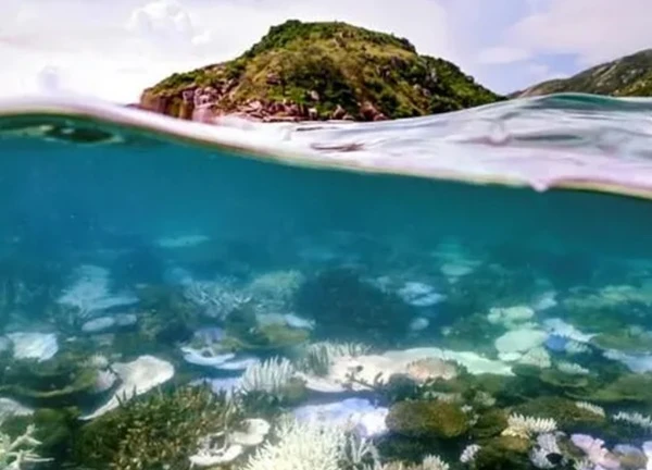 Phát huy du lịch bền vững ở Rạn san hô Great Barrier (Australia)