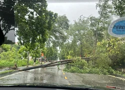 Quảng Ninh tan hoang sau bão Yagi