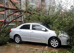 Sức tàn phá của siêu bão Yagi ở Trung Quốc 'vượt xa tưởng tượng'