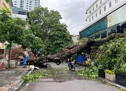 Tang thương: Bão số 3 đã làm 59 người chết, mất tích